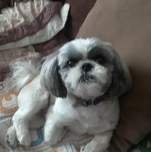 Meet your Posher, Natalie